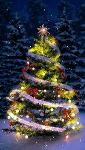 Meet your Posher, Eileen